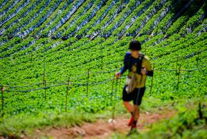 BIB: 
                            <button type="button" onclick="openModal(19164114)" class="btn btn-primary btn-sm float-right btn-popup" data-toggle="modal" data-target=".modal-high-quality">
                        <i class="fas fa-shopping-cart"></i> Add to Cart
                    </button>
                                            <button type="button" onclick="isThisMe(19164114, true)" class="btn btn-success btn-sm float-right btn-popup btn-isme hidden" data-toggle="tooltip" data-placement="bottom" title="นี่คือรูปของคุณใช่ไหม คลิกที่นี่เพื่อเอาเข้าอัลบั้ม">
                        <i class="fas fa-plus"></i> Add to album
                    </button>
                    <button type="button" onclick="isThisMe(19164114, false)" class="btn btn-warning btn-sm float-right btn-popup btn-isnotme hidden">
                        <i class="fas fa-ban"></i> Remove from album
                    </button>